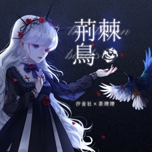 荆棘鸟 - Single