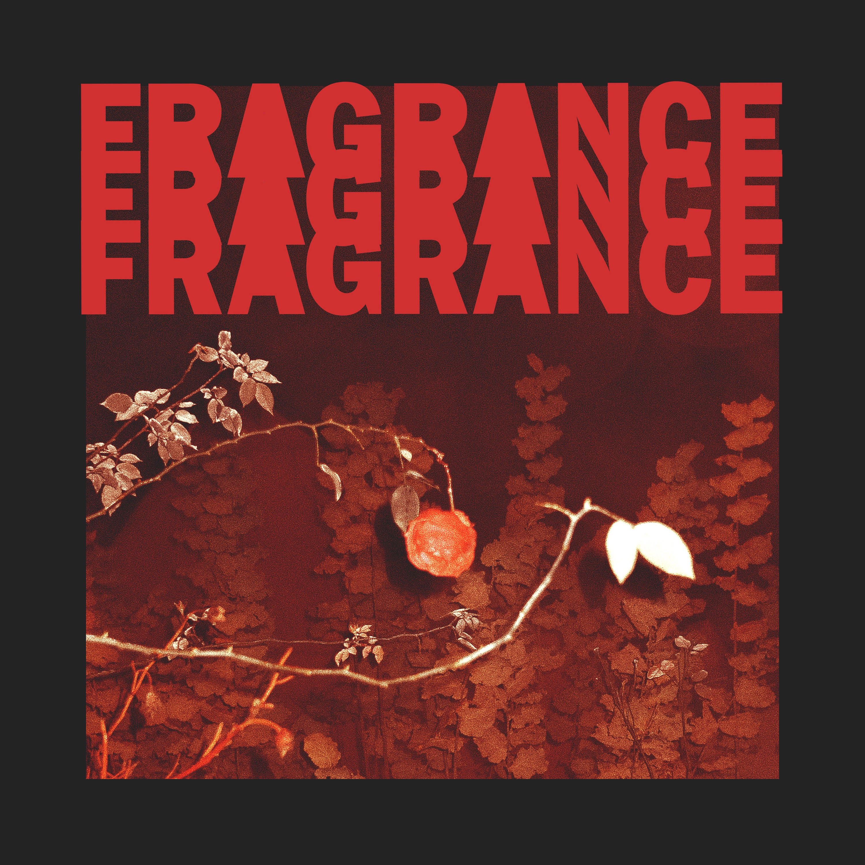 Fragrance - Single