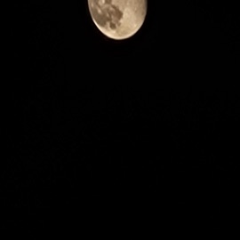 Save Our Soul (feat. Haystak & Chris Taylor) Widow