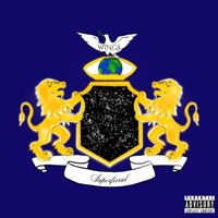 WING$ - Single - Superficial