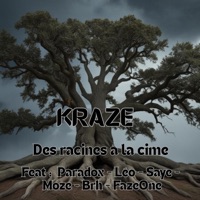 Des racines à la cime (feat. Paradox, Léo, Saye, Moze, BRH & FazeOne) - Single - Kraze