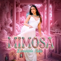 Mimosa