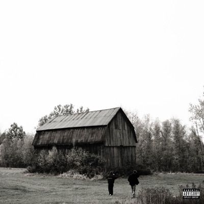 When Will The Leaves Fall ?