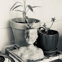 Alive - Single - Psyxch