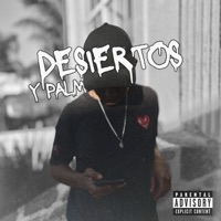 Desiertos y Palmeras (feat. Sound Dirty Gvng) - Single - Bralle'x Rl'yeh