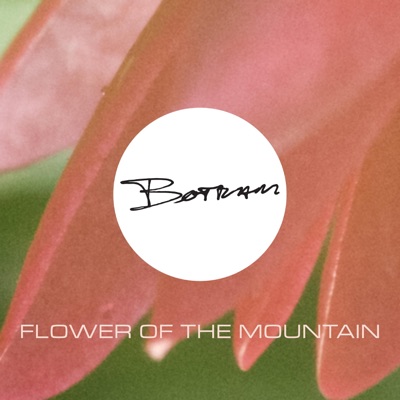 Flower of the Mountain - Single