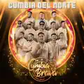 Cumbia Brava