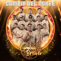 Cumbia Brava