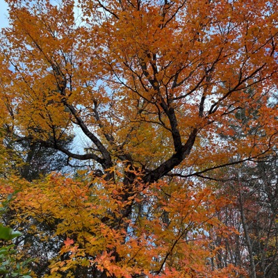 Welcome To Autumn
