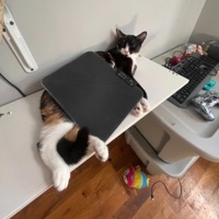 Nasty Girl - Single - OFrmThaWixk