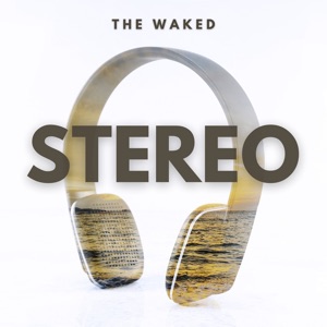 Stereo - Single