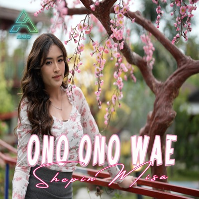 Ono Ono Wae - Single