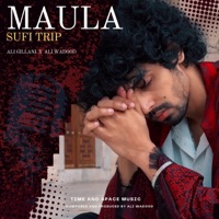 Maula (Sufi Trip) - Single - Ali Gillani