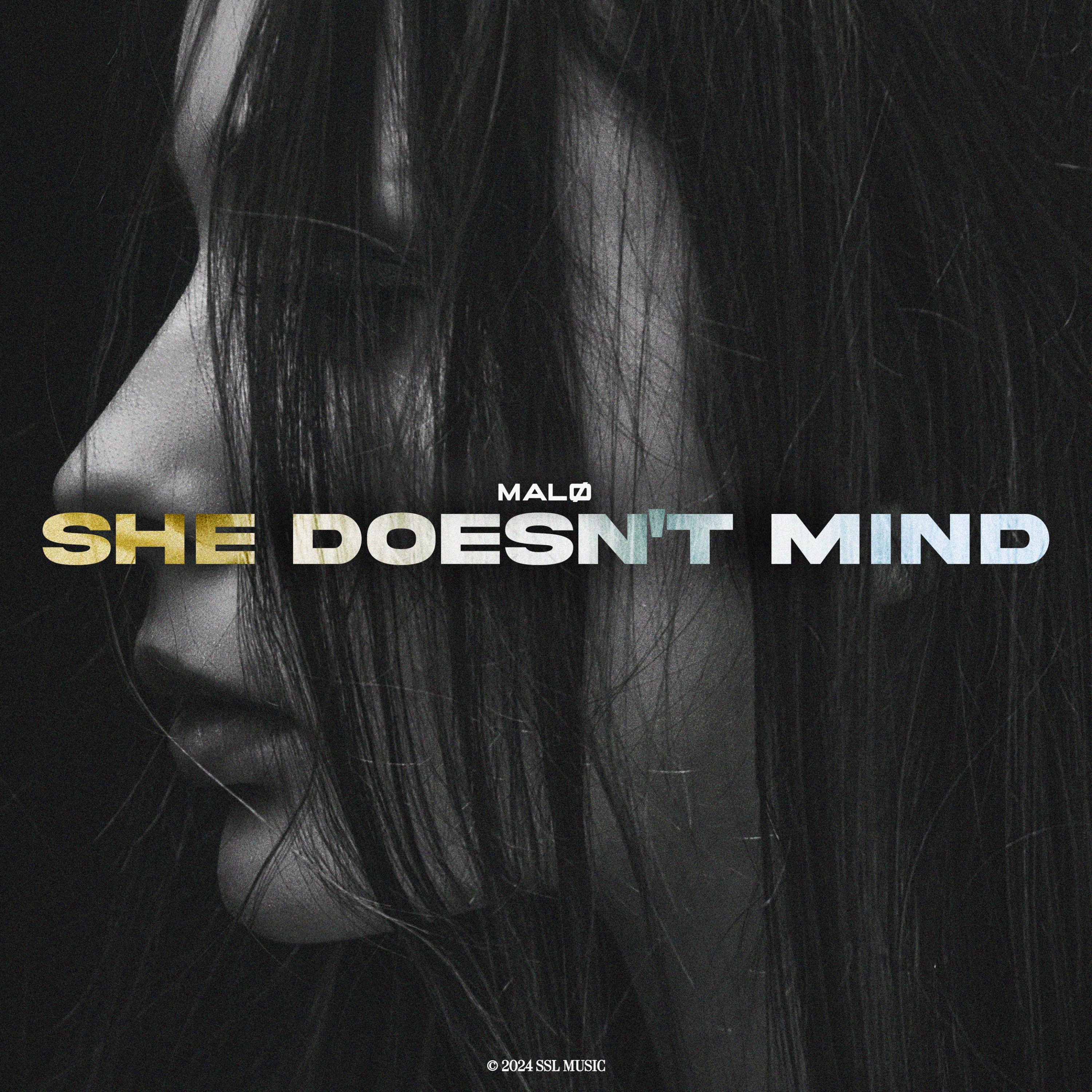 She Doesn't Mind - Single