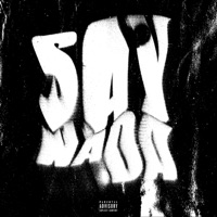 Say Nada - Single - Treez0