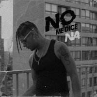 NO ME DICE NA - Single - DEMONKYE & Tesh Music