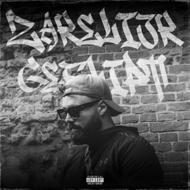 ZAKELIJK GEFLIPT Soof