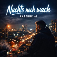 Nachts noch wach - Single - Antenne Ai