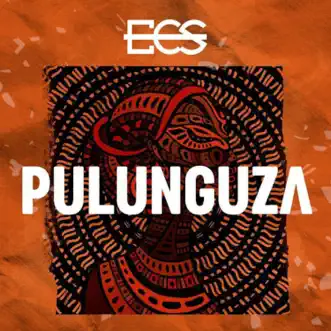 Pulunguza by DJ ECS song reviws