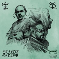 Shapeshifters (feat. Invizible Handz & John Robinson) [Remix] - Single - Scienz of Life & Figub Brazlevic