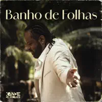 Banho de Folhas — Xande De Pilares