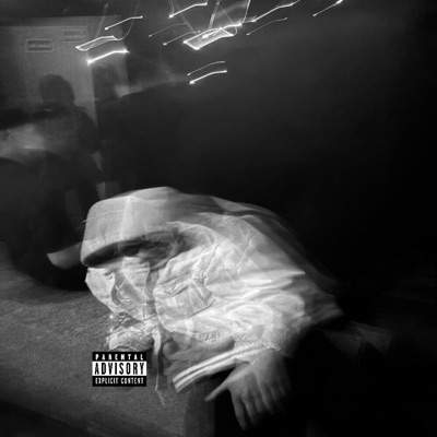 PELĖDA / NARC1ZAS - Single