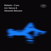 If You - Single - Barberio