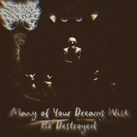 Many of Your Dreams Will Be Destroyed - Single - Stalks Boogie