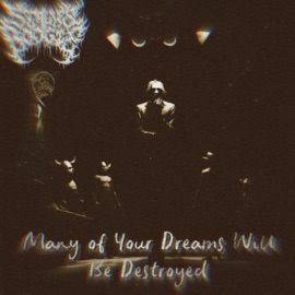 Many of Your Dreams Will Be Destroyed Stalks Boogie