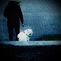 0VeRd0Se - Single - sipndrip