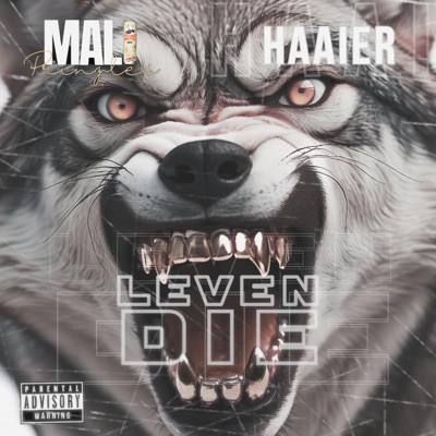 Leven die (feat. Haaier) - Single