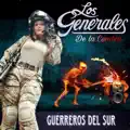 guerreros del sur
