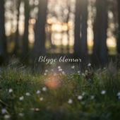Blyge Blomar