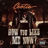 How You Like Me Now? - Single - Cootie
