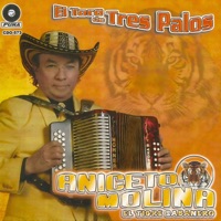 aniceto molina
