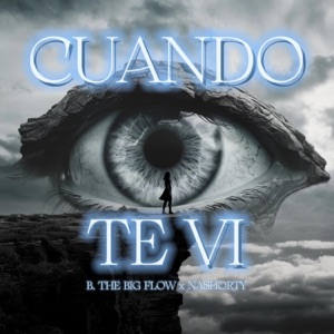 CUANDO TE VI (feat. Nashorty) - Single