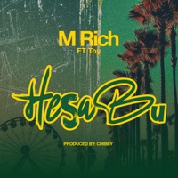 Hesabu (feat. Toy) - Single - M Rich