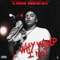 Why Would I Not - Single - lou deezi