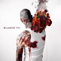 Blanco 7 - Millyz