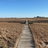 Downfall (feat. Big Hack) - Single - HitDawg