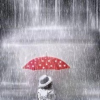 Rainy Day - Single - Lil53