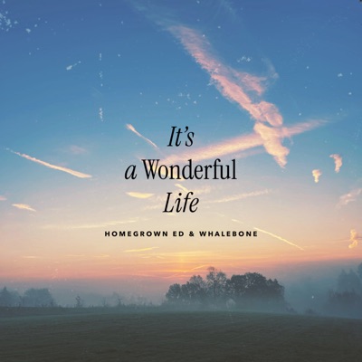 It's a Wonderful Life - Single