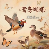 鸳鸯蝴蝶 - Single - 周冠宏