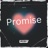 Promise