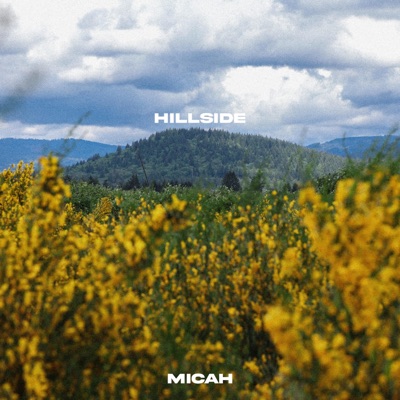 hillside - Single