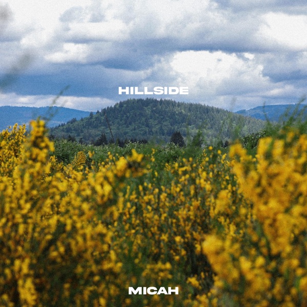 hillside