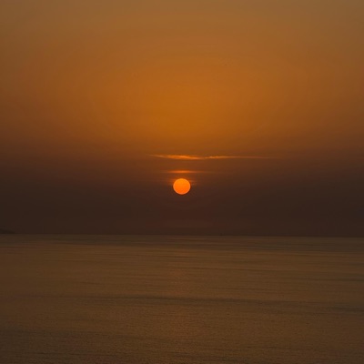 Nicho de Coco - Single