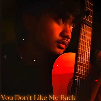 You Don't Like Me Back - Single