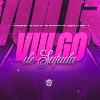 Vulgo de Safada (feat. MC Flavinho, Yuri Redicopa & Mc Menor MT) - Single - DJ BRIZY
