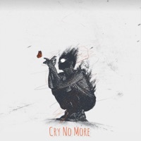 Cry No More (feat. Salty MC) - Single - Flowz Dilione
